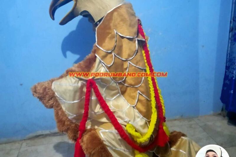Jual Maskot Drumband Berkualitas di Labuhanbatu Selatan, Siap Kirim dari Yogyakarta!