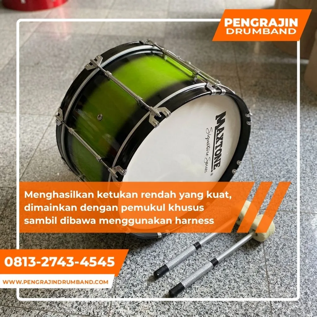 Fungsi dan Penggunaan